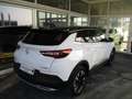Opel Grandland X Business Elegance Weiß - thumbnail 6