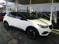Opel Grandland X Business Elegance Weiß - thumbnail 7