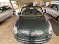 Volkswagen New Beetle 1.4 Grün - thumbnail 2