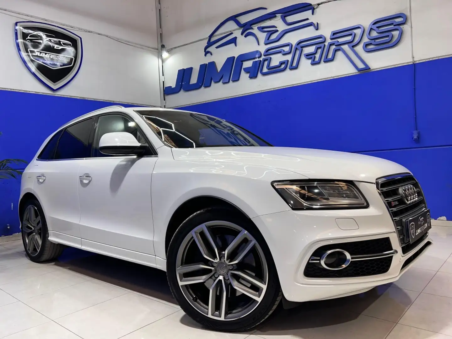 Audi SQ5 3.0TDI quattro Tiptronic 313 Bianco - 1
