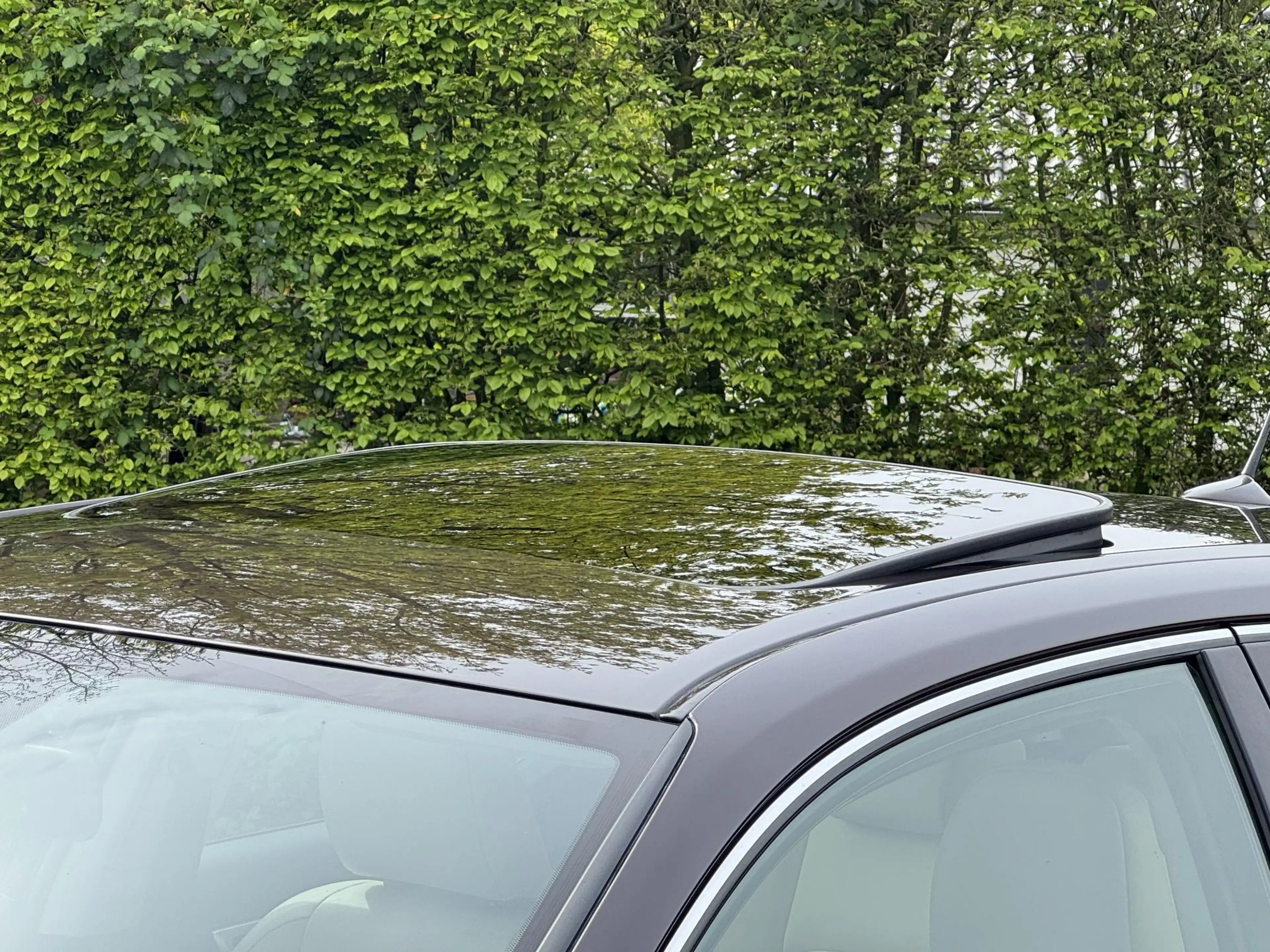 Lexus CT 200h Luxury Stuurverwarming MarkLevinson Houten stuur — photo 9