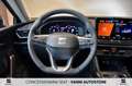 SEAT Leon 2.0 TDI 150 CV DSG Business 5 Porte Nero - thumbnail 12