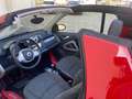 smart forTwo Cabrio +BT+DAB+ Weiß - thumbnail 13