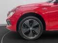 Skoda Kamiq Monte Carlo 1.0TSI PANO MATRIX DCC ACC RFK Rot - thumbnail 21