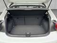 Volkswagen Polo GOAL 1,0 l TSI OPF Kamera LED Weiß - thumbnail 5