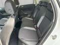 Volkswagen Polo GOAL 1,0 l TSI OPF Kamera LED Weiß - thumbnail 14
