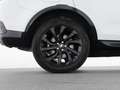 Land Rover Discovery Sport P250 Dynamic HSE 20"+AHK+WINTER Weiß - thumbnail 19
