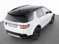 Land Rover Discovery Sport P250 Dynamic HSE 20"+AHK+WINTER Weiß - thumbnail 15