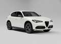Alfa Romeo Stelvio Stelvio 2.2 Turbodiesel 210 CV AT8 Q4 Veloce Bianco - thumbnail 3