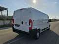 Fiat Ducato 33 2.3 MJT 140CV PM-TN Furgone Wit - thumbnail 5