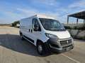 Fiat Ducato 33 2.3 MJT 140CV PM-TN Furgone Wit - thumbnail 3