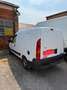 Renault Kangoo 1.5 dCi Bianco - thumbnail 1