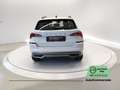Skoda Kamiq 1.0 TSI 110 CV DSG Ambition Weiß - thumbnail 5