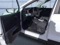 SEAT Arona Style 1.0 TSI 5-Gang Navi über Smartphone Weiß - thumbnail 9