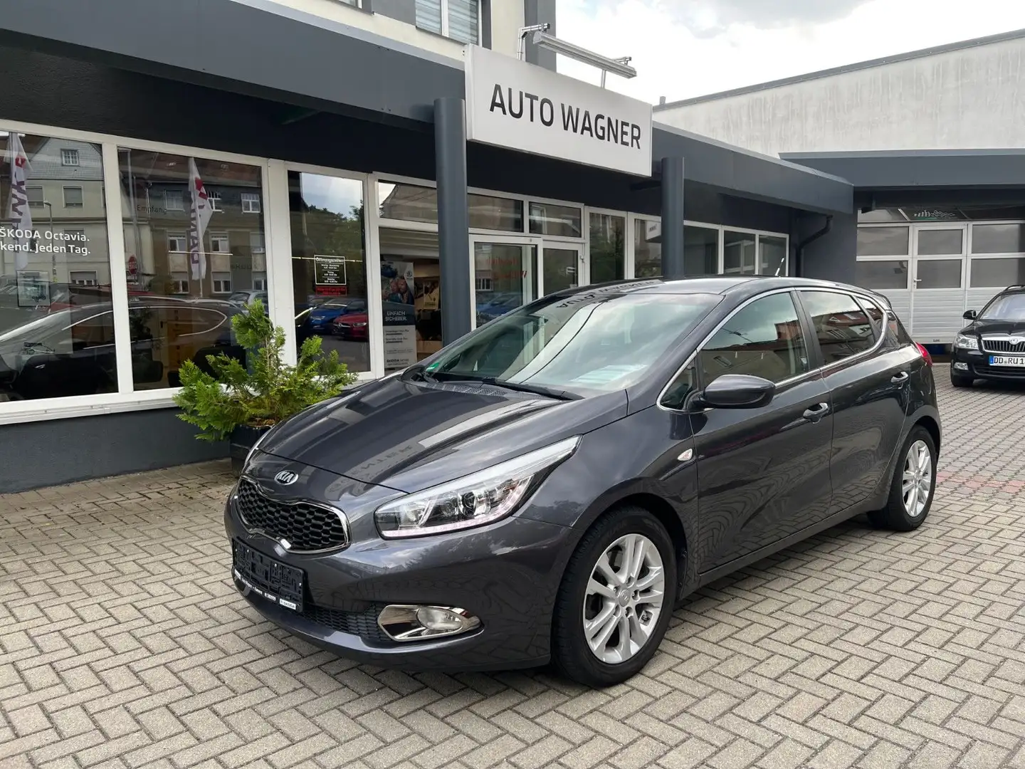 Kia Ceed / cee'd Fifa World Cup Ed *SH TEL EPH WKR beh.MFL Grau - 1