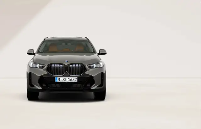 BMW X6 view 5