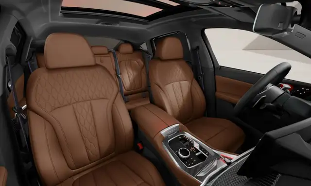 BMW X6 view 4