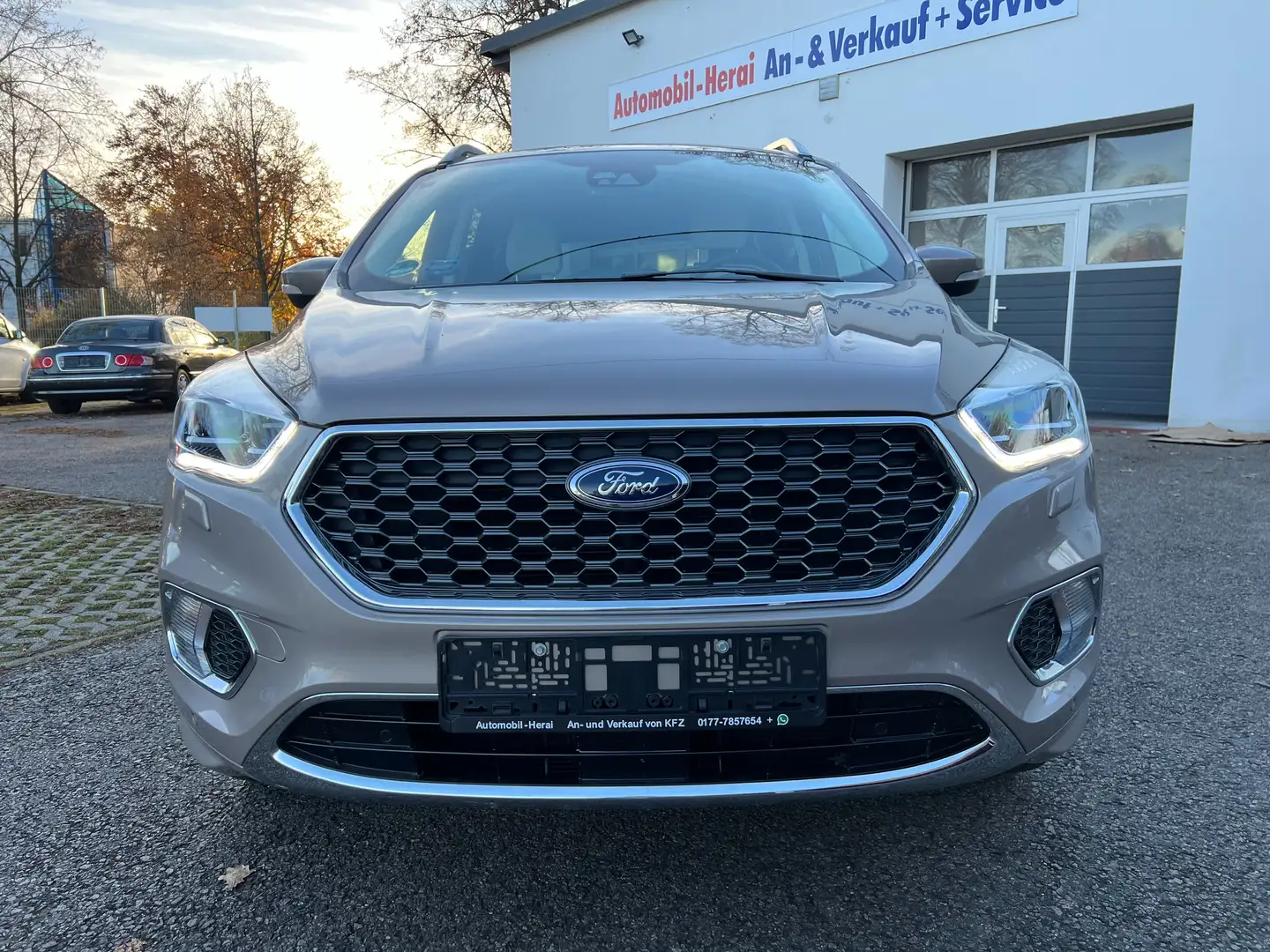 Ford Kuga Vignale - 2