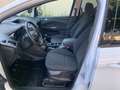 Ford Grand C-Max 7-Sitzer, Service NEU, Pickerl NEU, sehr gepflegt! Weiß - thumbnail 31