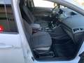 Ford Grand C-Max 7-Sitzer, Service NEU, Pickerl NEU, sehr gepflegt! Weiß - thumbnail 19
