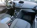 Ford Grand C-Max 7-Sitzer, Service NEU, Pickerl NEU, sehr gepflegt! Weiß - thumbnail 20