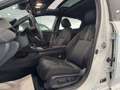 Honda Civic Civic 1.5T 5 porte Sport+ TETTO APRIBILE - thumbnail 17