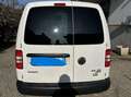 Volkswagen Caddy 2.0TDI 110 CV 4 MOTION IVA ESCLUSA Bianco - thumbnail 5