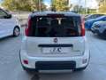 Fiat Panda Panda 1.0 FireFly S&S Hybrid Blanc - thumbnail 5