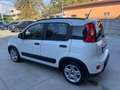 Fiat Panda Panda 1.0 FireFly S&S Hybrid Blanc - thumbnail 4