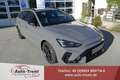 CUPRA Leon 1.5 e-TSI DSG 150 PS Facelift AHK Navi 18" Wind... Gris - thumbnail 1