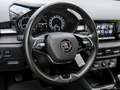 Skoda Fabia Ambition 1.0 TSI SHZ DAB LED Klima Bleu - thumbnail 9