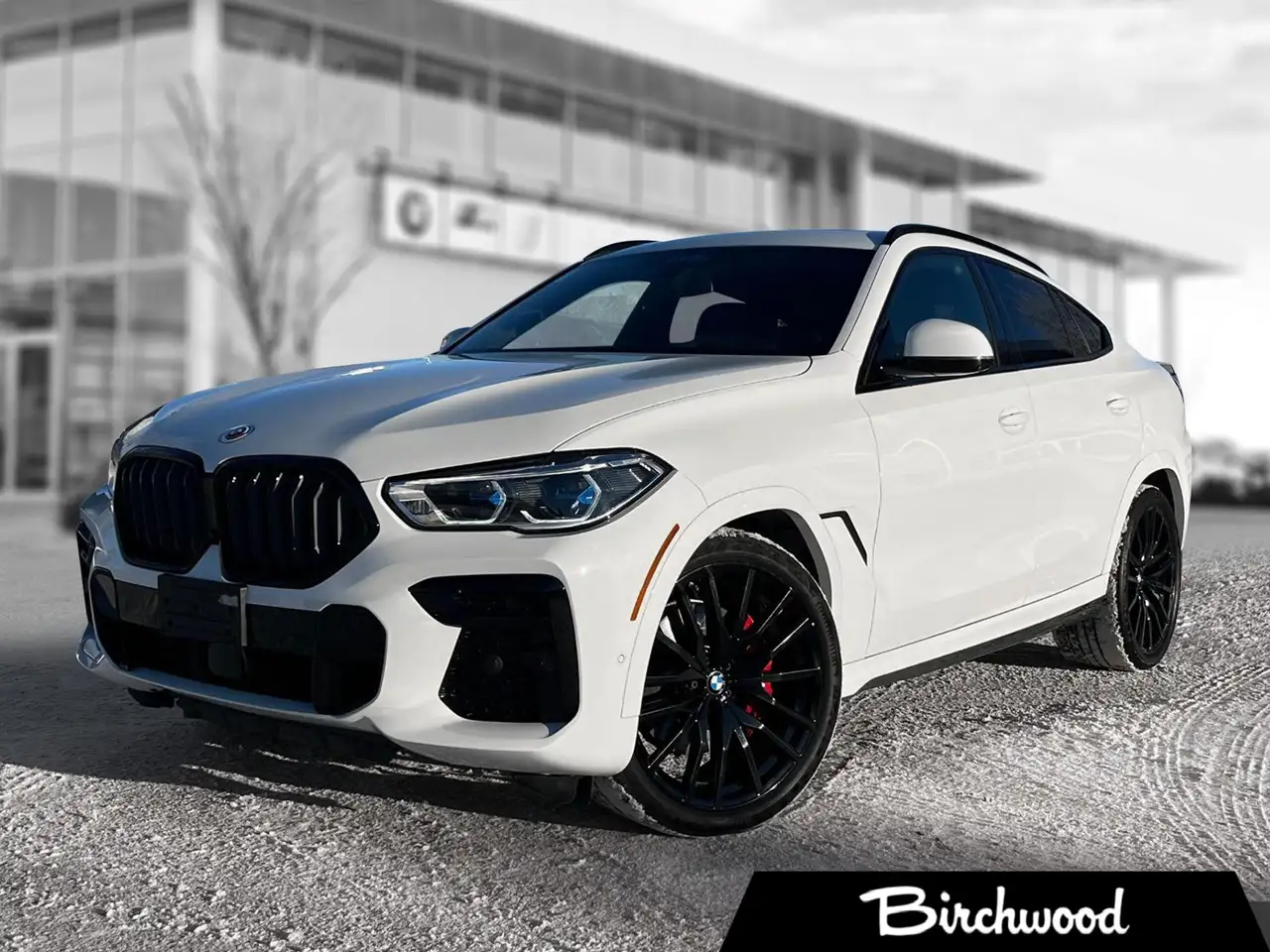2023 BMW X6