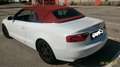 Audi A5 A5  2009 Cabriolet Cabrio 2.0 tfsi multitronic Wit - thumbnail 5