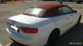 Audi A5 A5  2009 Cabriolet Cabrio 2.0 tfsi multitronic Wit - thumbnail 6