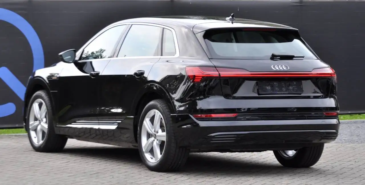 Audi e-tron 50 QUATTRO LEDER CAMERA 19" — 3/13