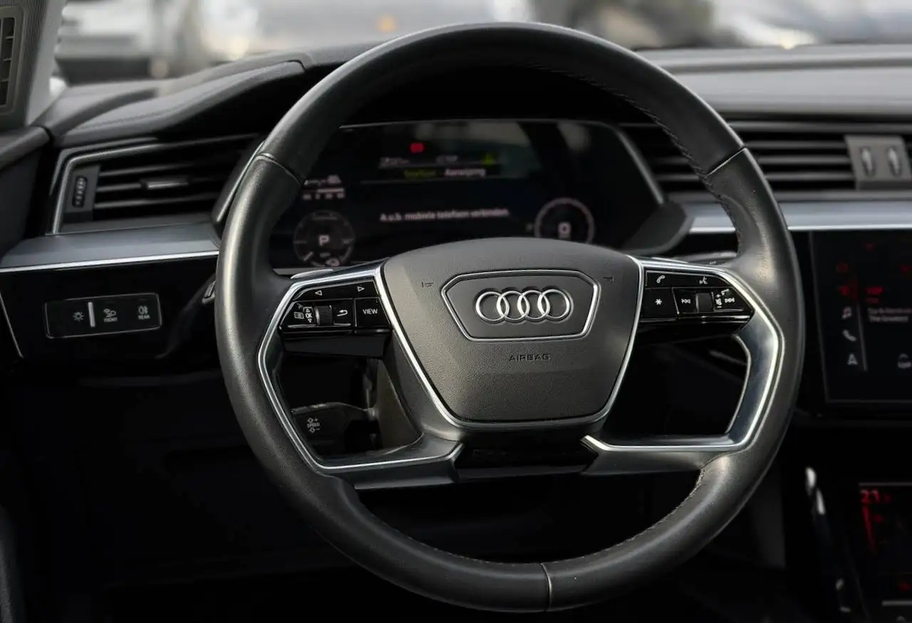 Audi e-tron 50 QUATTRO LEDER CAMERA 19" — 10/13