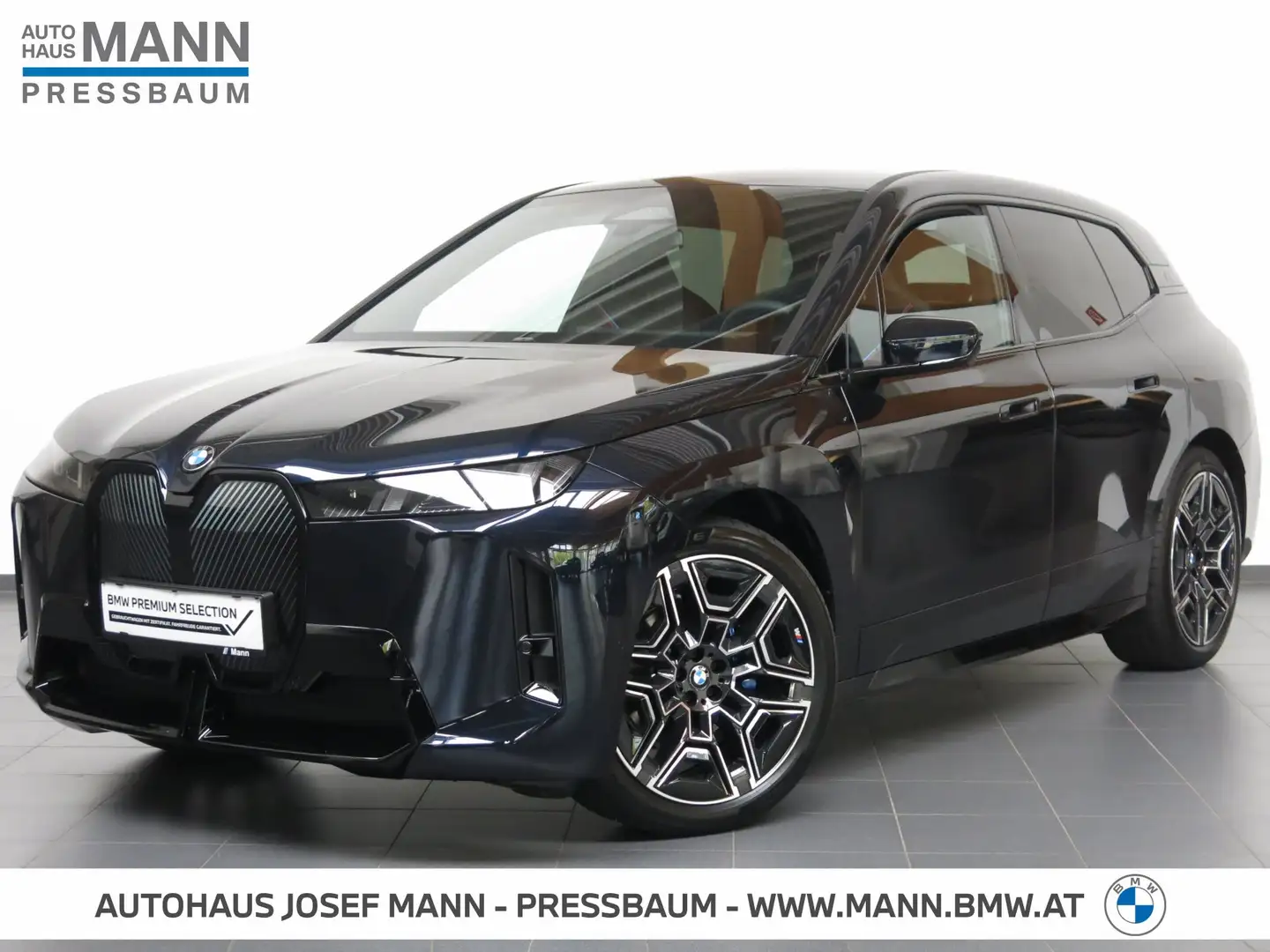 BMW iX iX xDrive45 Negro - 1