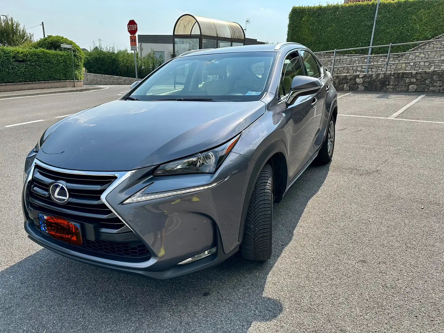 Lexus NX 300h executive Blu/Azzurro - 1
