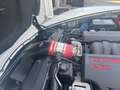 Corvette C6 Coupe Corvette Coupe ( TARGA-DACH ) - thumbnail 28