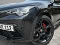 Alfa Romeo Stelvio Competizione MY23 2.0 Turbo 16V AT8-Q4 Schwarz - thumbnail 13