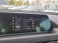 Ora Funky Cat 300 Starry Black 360 Grad Kamera LED ACC Schwarz - thumbnail 18