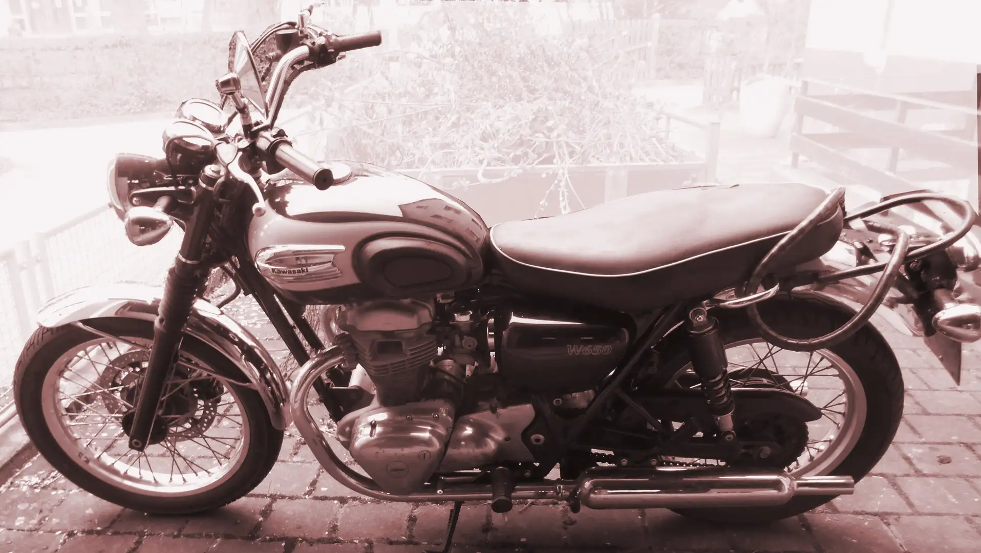 Kawasaki W 650 Beige - 1
