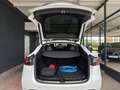 Tesla Model Y Dual Performance Dual AWD Weiß - thumbnail 22