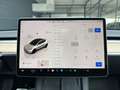 Tesla Model Y Dual Performance Dual AWD Weiß - thumbnail 21