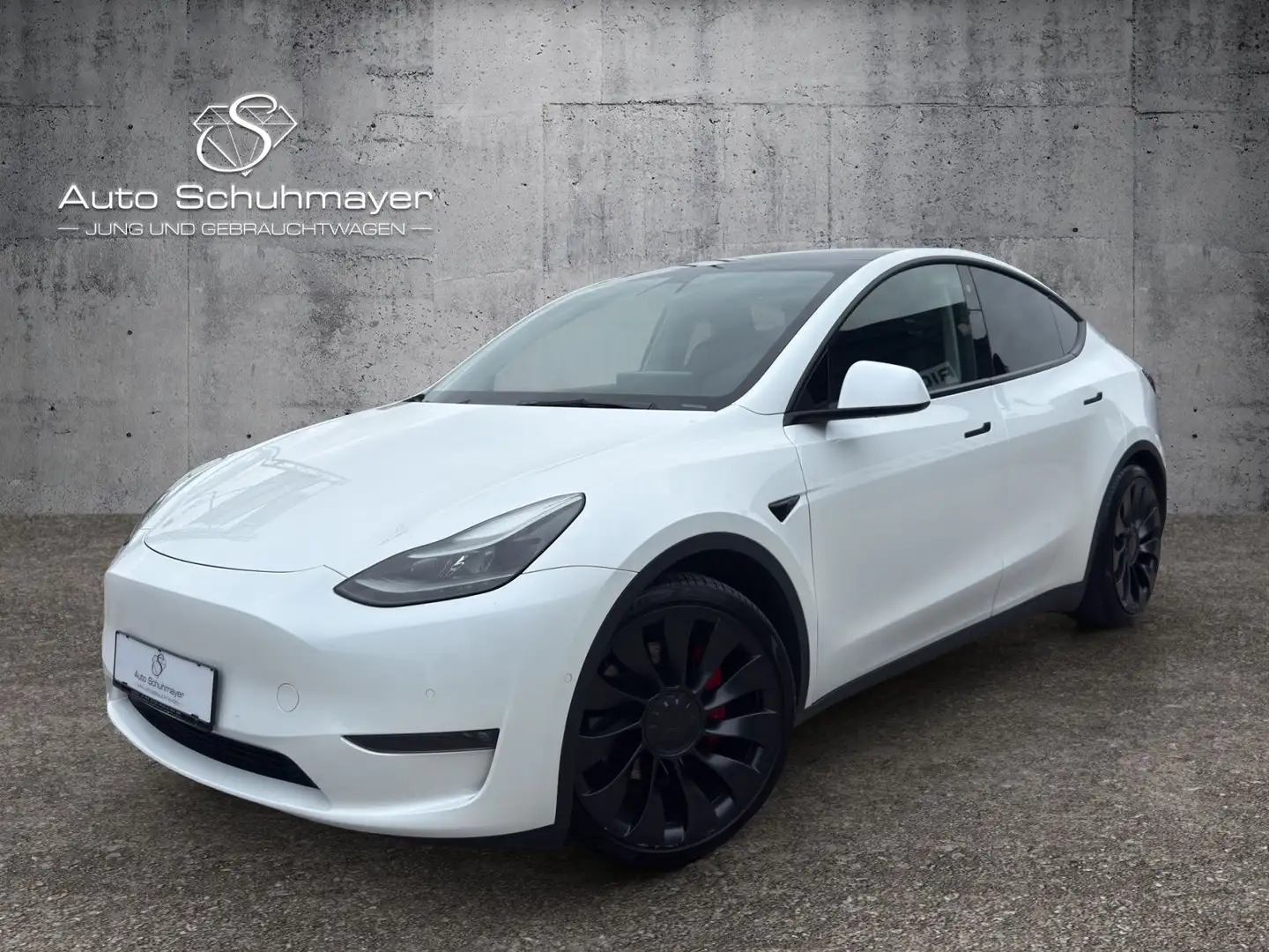 Tesla Model Y Dual Performance Dual AWD Weiß - 1
