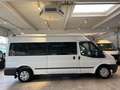 Ford Transit Kombi Hoch+Lang*9-Sitzer*Garantie*Klima Blanco - thumbnail 3
