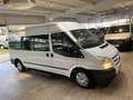 Ford Transit Kombi Hoch+Lang*9-Sitzer*Garantie*Klima Blanco - thumbnail 14