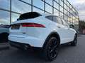 Jaguar E-Pace SE AWD Leder Kamera Led  R Line Dynamic Blanc - thumbnail 14