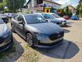 Skoda Superb Combi 1.5TSI iV 150 kW Sportline PANO AHK Gris - thumbnail 2