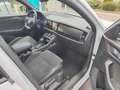 Skoda Kodiaq 2.0 TDI 4x4 DSG Sportline Weiß - thumbnail 6